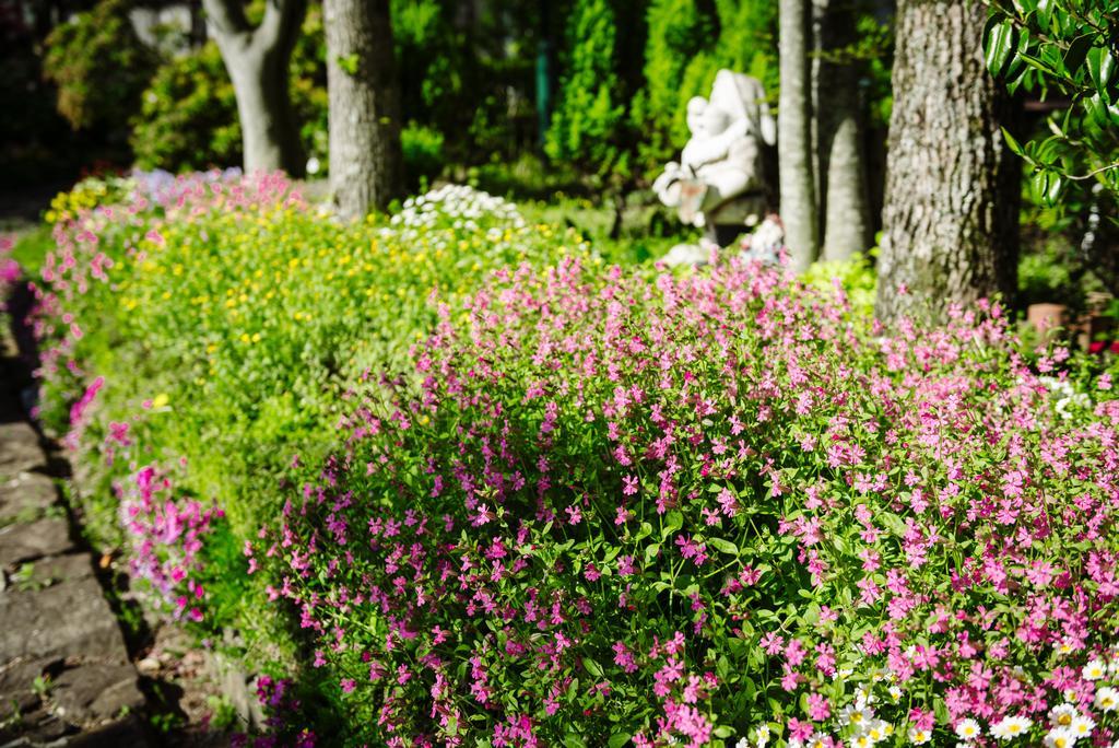 Pension Yufuin Hotel Eksteriør billede